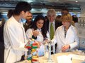 Prof. Dr. Theo Dingermann (h.r.), Biotechnologiebeauftragte des Landes Hessen, und Stadtrat Rudolf Janke (h.l.) waren begeistert von den praktischen Einblicken in die Biotechnologie, die das BIOTechnikum ermöglicht.
