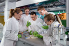 Bild zeigt: vier Schüler und eine Wissenschaftlerin bei der Laborarbeit mit Pipetten