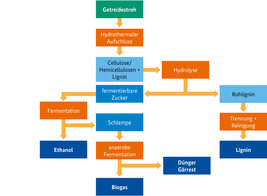 Bild zeigt: schematische Abbildung der stofflichen Nutzung von Getreidestroh in der konzeptuellen Umsetzung einer Bioraffinerie