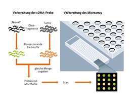 Bild zeigt: Schematische Darstellung eines DNA-Chips