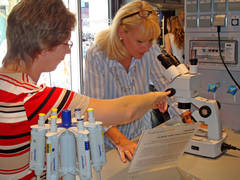 Bild zeigt: Bundestagsabgeordnete Karin Maag beim Blick durch das Mikroskop.